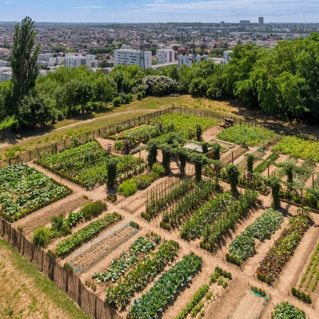 Potager à Partager de Neuilly-Plaisance 1